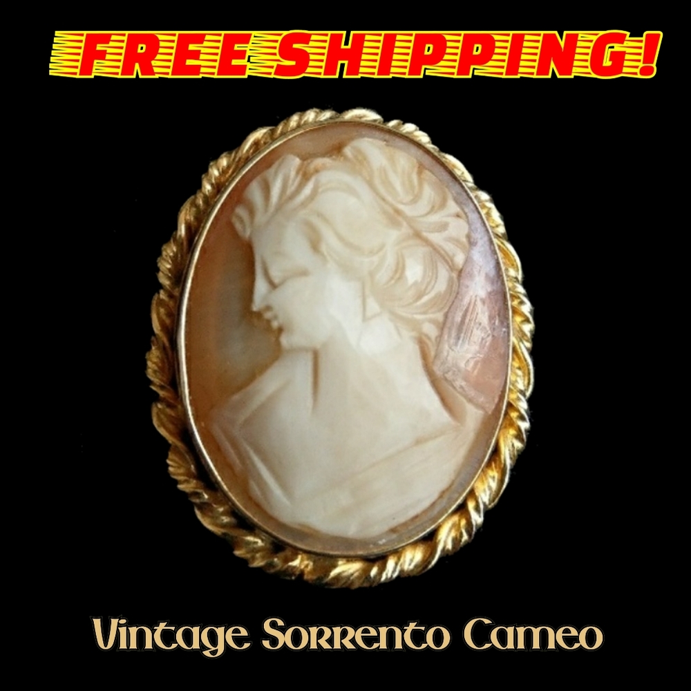 Vintage Sorrento Cameo Brooch/Pendant